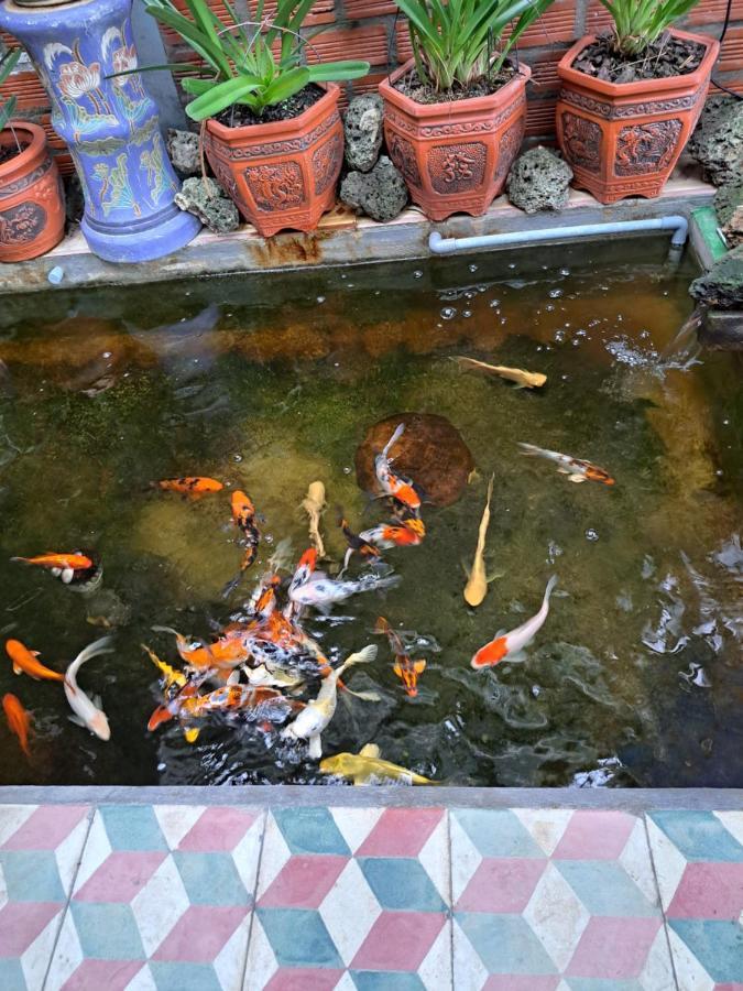 Hoa Lan Motel & Homestay Giong Tu Dien Dış mekan fotoğraf
